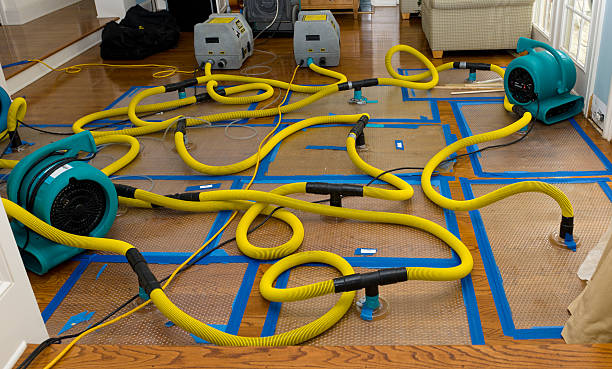 Professional Crawl Space Water Removal technician working in Fellsmere, FL
